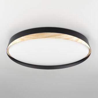 Накладной светильник Citilux CL754451G