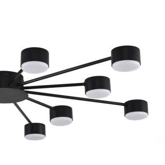 Накладная люстра LUMION 8344/12C