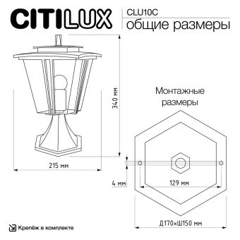Садово-парковый светильник Citilux CLU10C