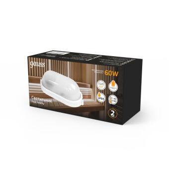 Пылевлагозащищенный светильник Gauss 926602206