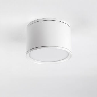 Спот Lightstar 215856