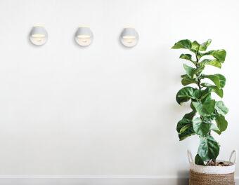 Бра Ambrella Light FW166