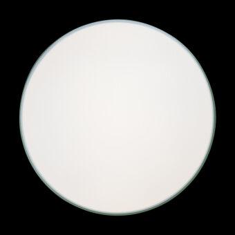 Потолочный детский светильник LOFT IT 10001/36 Green