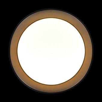 Накладной светильник LOFT IT 10202 BB