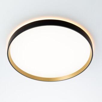 Накладной светильник Citilux CL750401R