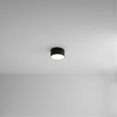   ARTE Lamp A7312PL-1BK