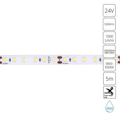  ARTE Lamp A2412008-06-6K