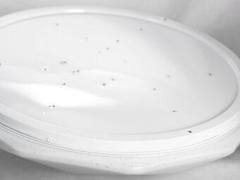 Накладной светильник Lussole LSP-8317