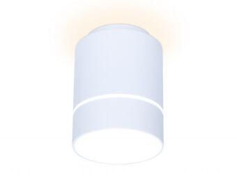Накладной светильник Ambrella Light TN256