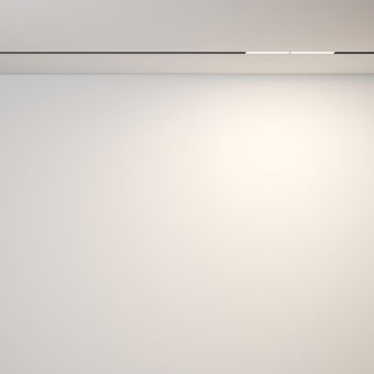 Светильник на шине Maytoni Technical TR106-2-12W3K-B