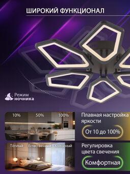 Накладная люстра Natali Kovaltseva LED LAMPS 81444