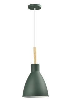 Подвесной светильник Moderli V11438-1P