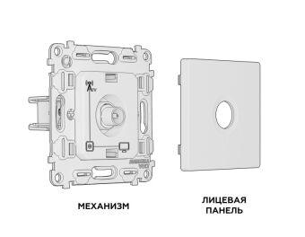 Розетка Ambrella Volt MA373010