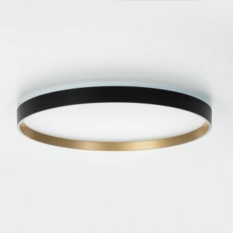 Накладной светильник Citilux CL750401R