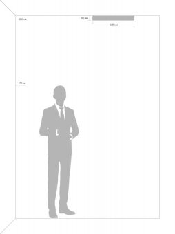 Накладной светильник Freya FR10030CL-L88W