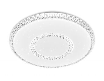 Накладной светильник Ambrella Light FF99