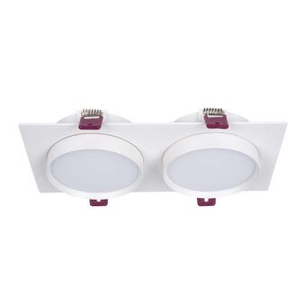 Встраиваемый светильник Favourite 4649-2C