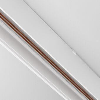 Соединитель для шинопровода Maytoni Technical TRA034HS-21W