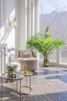 Бра Maytoni MOD302WL-01CG