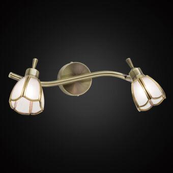 Спот Citilux CL522521