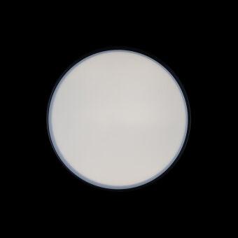 Накладной светильник LOFT IT 10002/12 Black