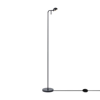 Торшер Freya FR5549FL-L5B