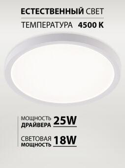 Накладной светильник Natali Kovaltseva LED LAMPS 81113/2C