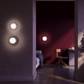 Бра Maytoni MOD403WL-01BG