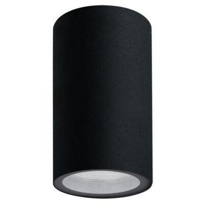   ARTE Lamp A3302PF-1BK