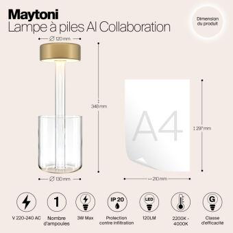 Настольная лампа Maytoni MOD229TL-L3G3K1