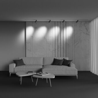 Светильник на шине Maytoni Technical TR212-1-12WTW-DD-Z-B