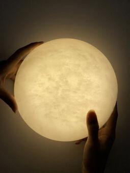 Бра Fluorite FL1020-1WB