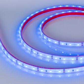 Лента Arlight 034012