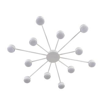 Накладная люстра LUMION 8343/12C