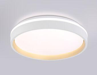 Накладной светильник Ambrella Light FZ601