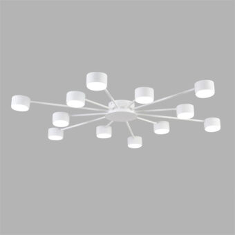 Накладная люстра LUMION 8343/12C