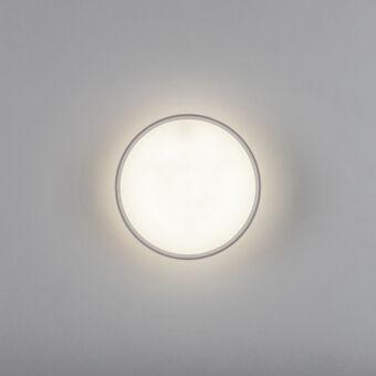 Накладной светильник Lightstar 215946