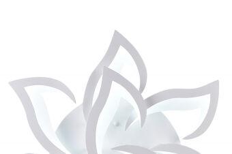 Накладная люстра Natali Kovaltseva LED LAMPS 81224