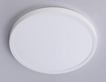 Накладной светильник Ambrella Light FZ1951