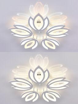 Накладная люстра Natali Kovaltseva LED LAMPS 81124