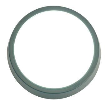 Накладной светильник Feron 51475