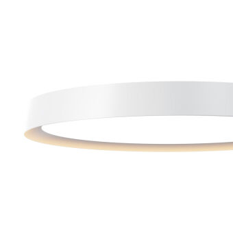 Накладной светильник Maytoni MOD426CL-L43WK