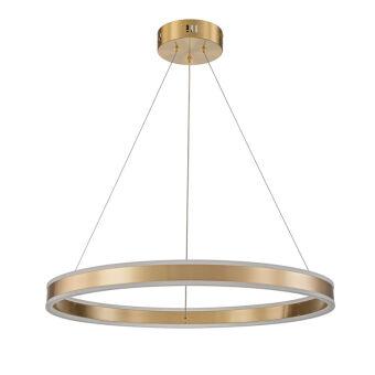 Подвесная люстра Indigo V000066L