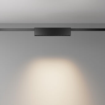 Светильник на шине Maytoni Technical TR150-1-12W3K-M-B