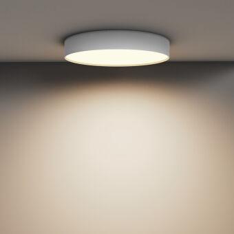 Накладной светильник Maytoni Technical C032CL-45W3K-RD-W