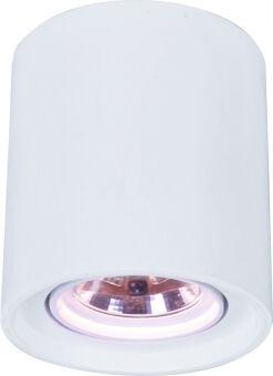 Накладной светильник ARTE Lamp A9262PL-1WH