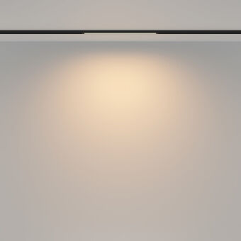 Светильник на шине Maytoni Technical TR173-1-8WTW-B