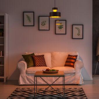 Подвесной светильник Eurosvet 50171/1 черный