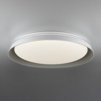 Накладной светильник Citilux CL752451G