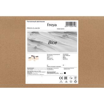 Накладная люстра Freya FR5101-CL-04-CN